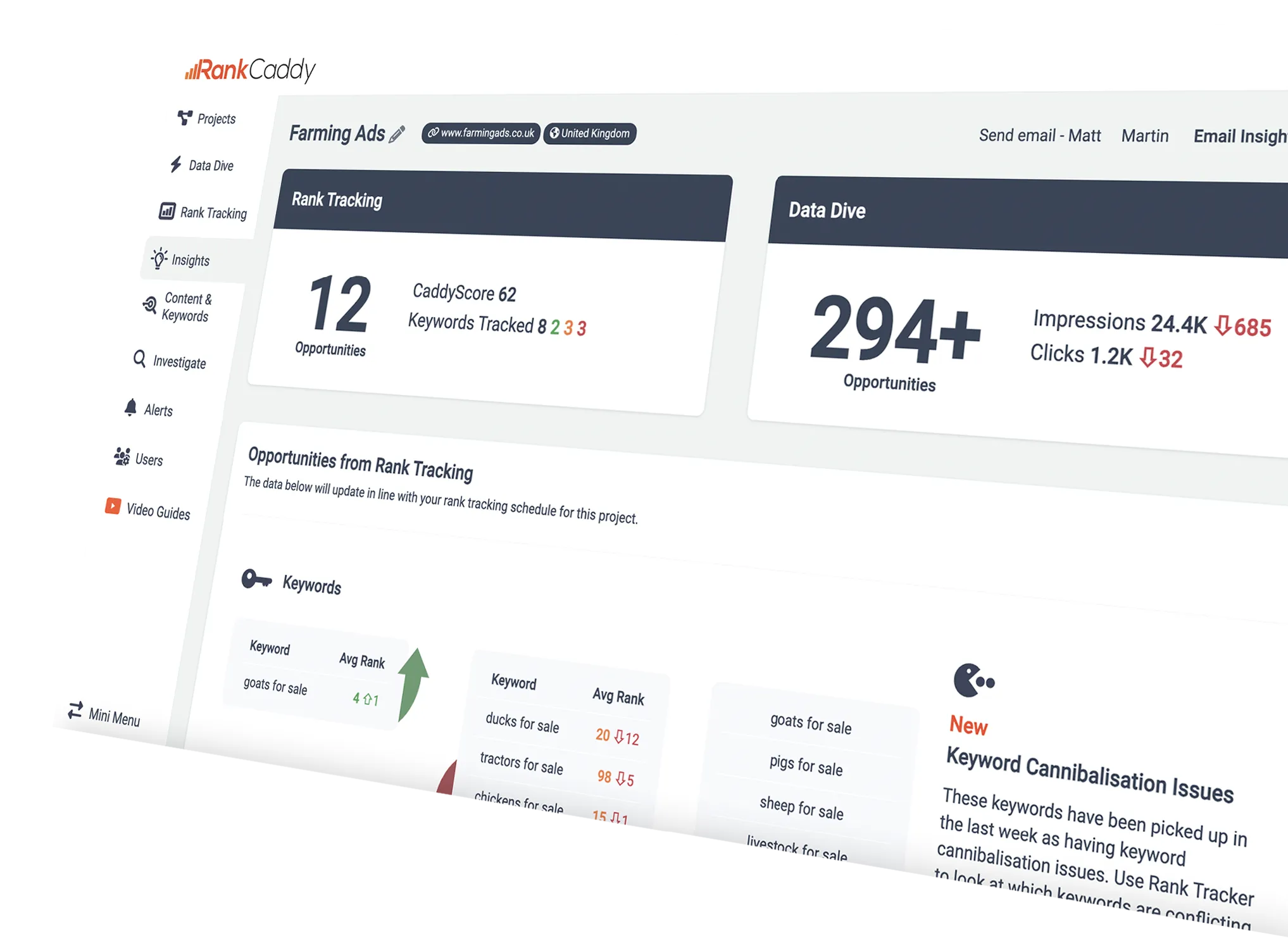 SEO Opportunities