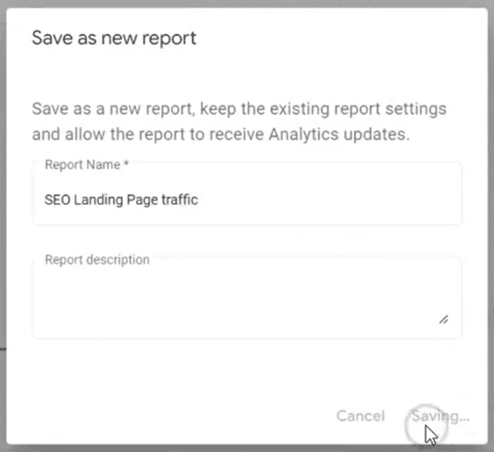 Save New Report